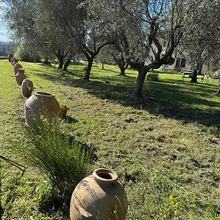 Le Del Ceccottino Guest house